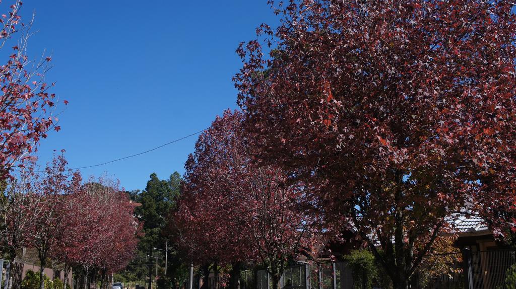 Gramado Aconchegante Lägenhet Rum bild